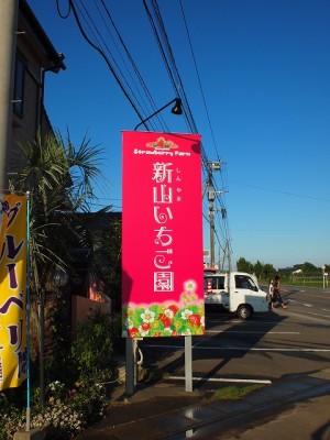 最近のお仕事　2