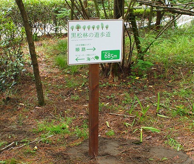 誘導看板　～宮崎市内～