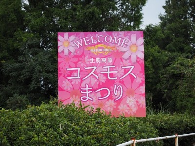 生駒高原　コスモス祭りサイン