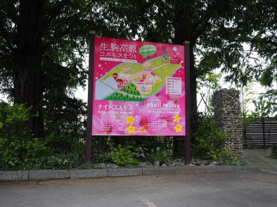 生駒高原　コスモス祭りサイン