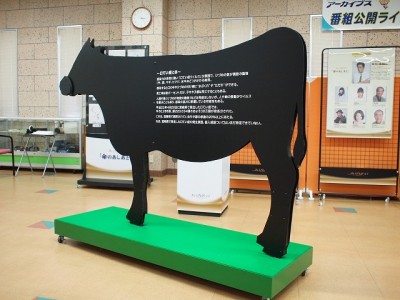 「命のあしあと」ドラマ　展示什器　その１